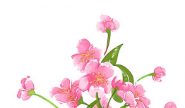 漫画花朵图片,漫画花朵的美丽瞬间